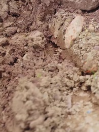 第44集 - 天才萌寶:搶個總裁當爹地