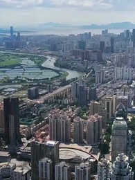 金燕還巢當感恩 - Episode 40