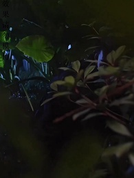 下山禍害六個絕色師姐 - Episode 100