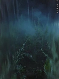 第35集 - 山村詭事