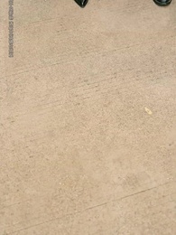 第25集 - 重生八零:廠長妻子將我開除