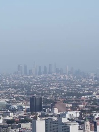 第33集 - 金燕還巢當感恩