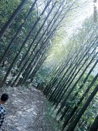 山村詭事 - Episode 100