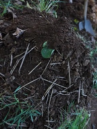 第87集 - 山村詭事