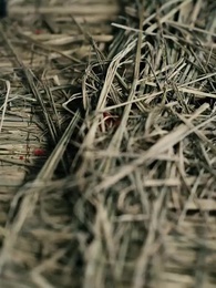 서녀의 독한 사랑 - Episode 64