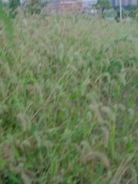 第28集 - 物價暴跌後我成首富