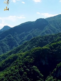 第7集 - 薄爺，夫人出價壹千億要退婚