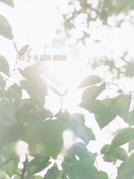 Mariage Éclair du PDG - Episode 26