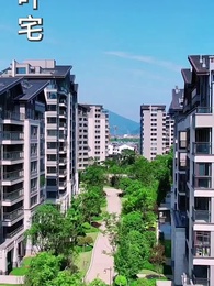 第28集 - 薄爺，夫人出價壹千億要退婚