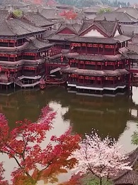 第53話 - 太子の覚醒