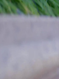 第38集 - 物價暴跌後我成首富