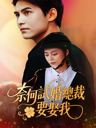 奈何試婚總裁要娶我