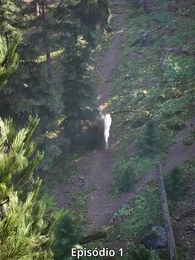 [Dublado]Meu Companheiro é um Lícano de Rua - Episode 1