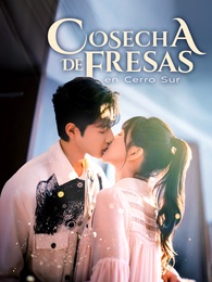 Cosecha de Fresas en Cerro Sur