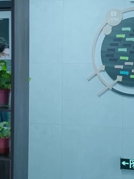 第91集 - 淩總別虐了,桑小姐又孕吐了