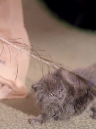 ตอนที่ 30 - เพลิงแค้นพลิกชะตาวังหลัง