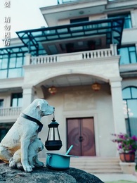 第70集 - 甜妻不好惹，霸總請接招