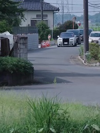 Episódio 11 - Amor sob contrato