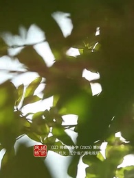 裴總別慌張，醫仙嬌妻來救場 - Episode 47