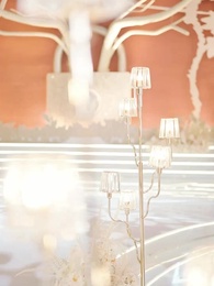 第53集 - 盈盈赤子心