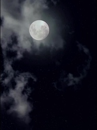 Sủng Thê Quyền Thế - Episode 63