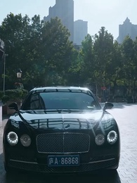 第52集 - 淩總別虐了,桑小姐又孕吐了