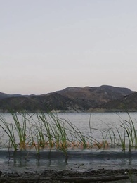 MAGIC EX: FANGS and CLAWS both besotted with ME - Episode 1