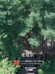 第1集 - 裴總別慌張，醫仙嬌妻來救場