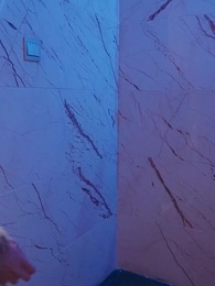 第57集 - 淩總別虐了,桑小姐又孕吐了