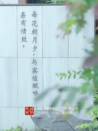 第50集 - 裴總別慌張，醫仙嬌妻來救場