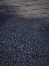 Episode 43 - The Forbidden Bloom