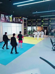 Episodio 18 - Golpes Ocultos: El Secreto de la Campeona