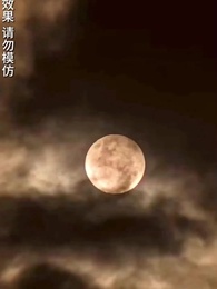 第1集 - 黑月光之重啟人生