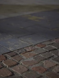 The Forbidden Bloom - Episode 10