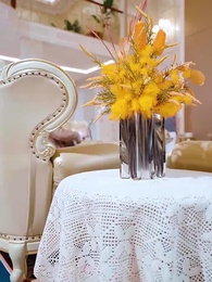 Episodio 25 - Golpes Ocultos: El Secreto de la Campeona