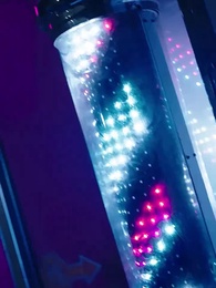 第35集 - 功夫萌寶神算爹