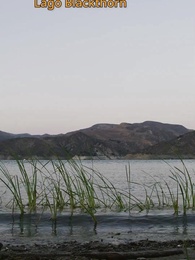 Mi Ex Mágico: Entre Colmillos y Garras - Episode 1