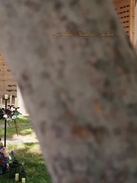 اخترت المستذئب المشّرد ليكون زوجي - Episode 3