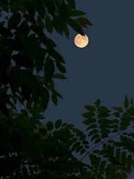 ทะลุมิติ พลิกชะตาให้คุณสามี - Episode 24