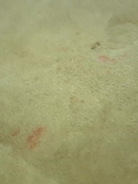 Episodio 19 - [Doppiato]Ritorno del Dio della Guerra