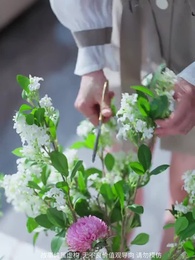 第15集 - 我拋棄贅婿後,傅爺他發瘋了