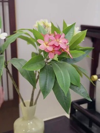 第17集 - 大小姐九十九斤反骨