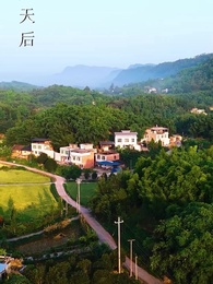 第49集 - 男大當婚，女大當嫁