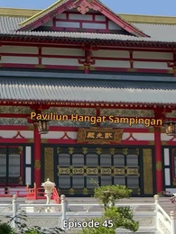 Episodio 45 - El Guerrero Fénix