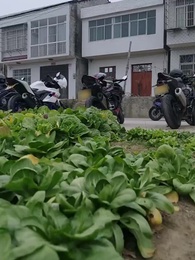 Episodio 20 - La Mentira de Mi Padre Multimillonario