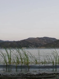 EX MAGIQUE : CROCS et GRIFFES, tous deux épris de MOI - Episode 1