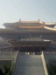 Episode 45 - The Return of the Venomous Consort