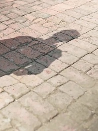 男大當婚，女大當嫁 - Episode 44