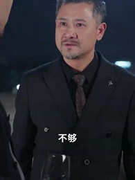 第40集 - 日照山河