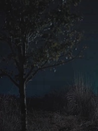 雙生奪愛陸總你認錯夫人了 - Episode 38